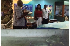 Visit the Department of Environment and natural Resources to learn more about the Turks and Caicos Island wild life